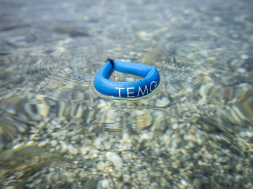[VEN_0105_US] Magnetic safety key for TEMO·450